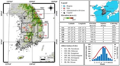 Summer climate information recorded in tree-ring oxygen isotope chronologies from seven locations in the Republic of Korea